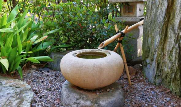 Australian water feature in backyard