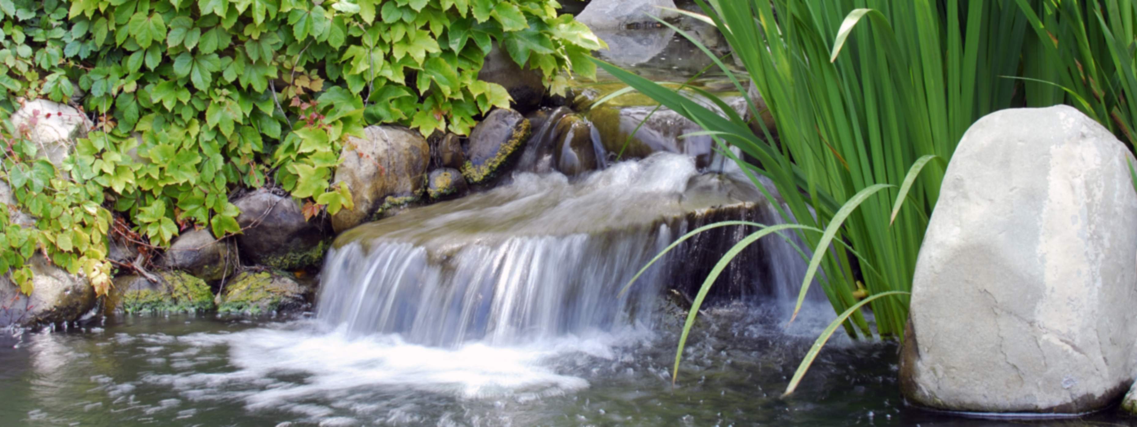 Pond/Waterfall Foam