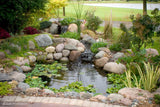 Aquascape DIY Backyard Pond Kit