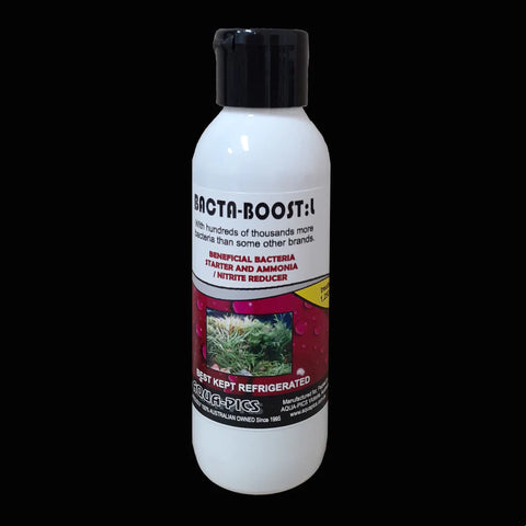 Bacta-Boost L Liquid Beneficial Bacteria Supplement