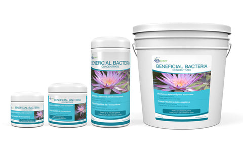 Aquascape Beneficial Bacteria Concentrate