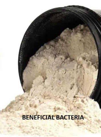 Beneficial Bacteria (Per Scoop)