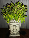 Concrete Budda Head FlowerPot