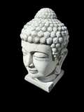 Concrete Budda Head