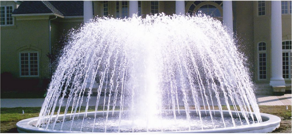 Buy Spray Rings FN - 000 Series Online | Ponds R Us